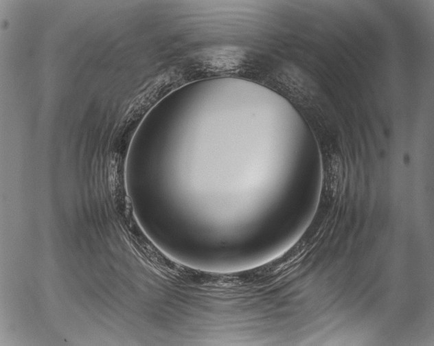 X0000054430412200508011403