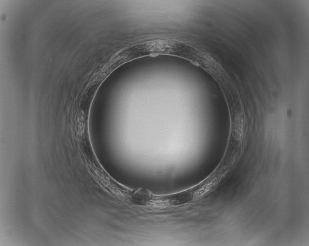 X0000054430413200508011403