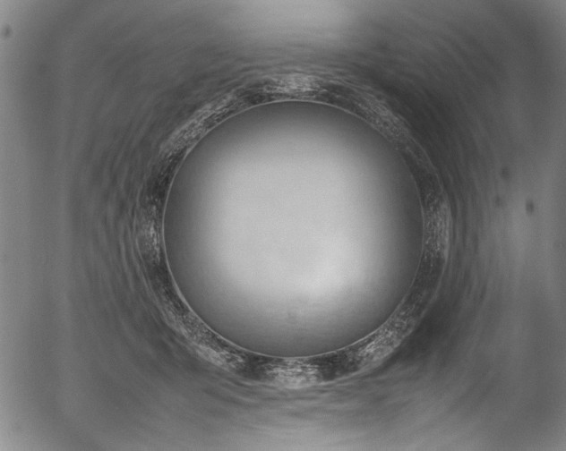 X0000054430415200508011402
