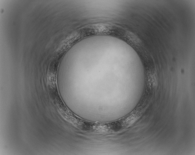 X0000054430419200508011402