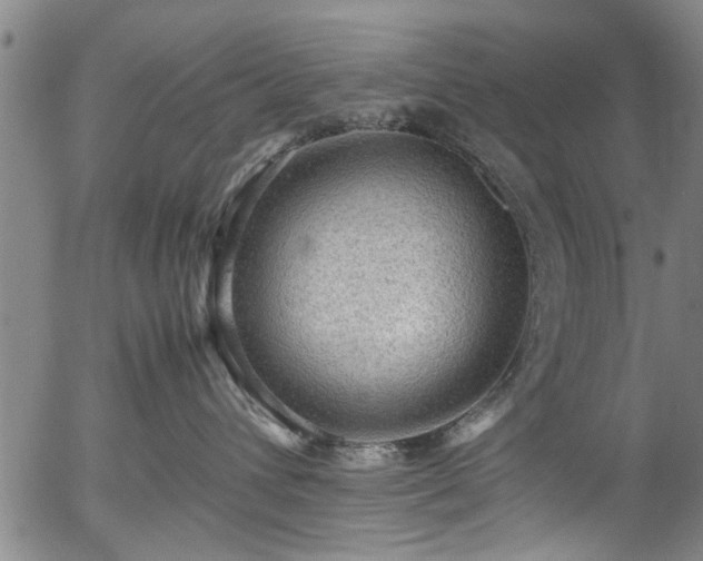 X0000054430432200508011402
