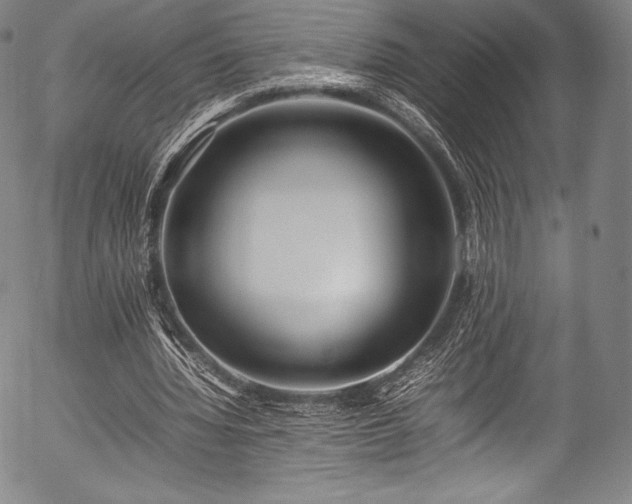 X0000054430436200508011401