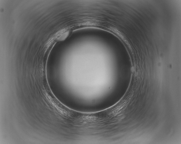 X0000054430437200508011401