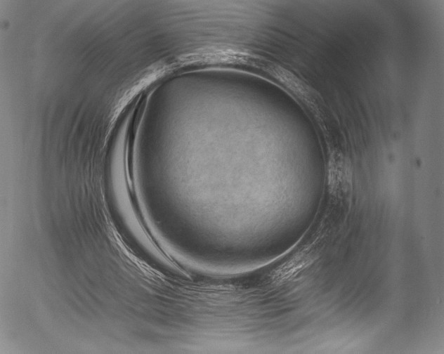 X0000054430438200508011401