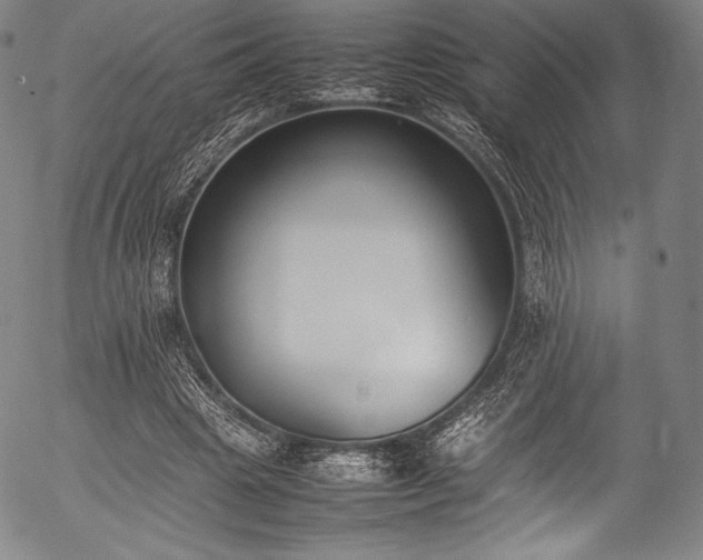 X0000054430441200508011402