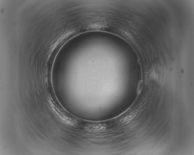 X0000054430443200508011402
