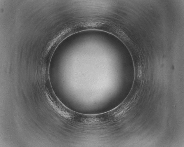 X0000054430444200508011402