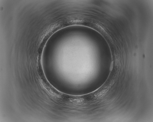 X0000054430447200508011402