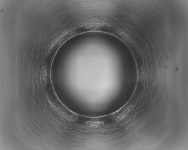 X0000054430448200508011402