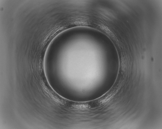 X0000054430449200508011402