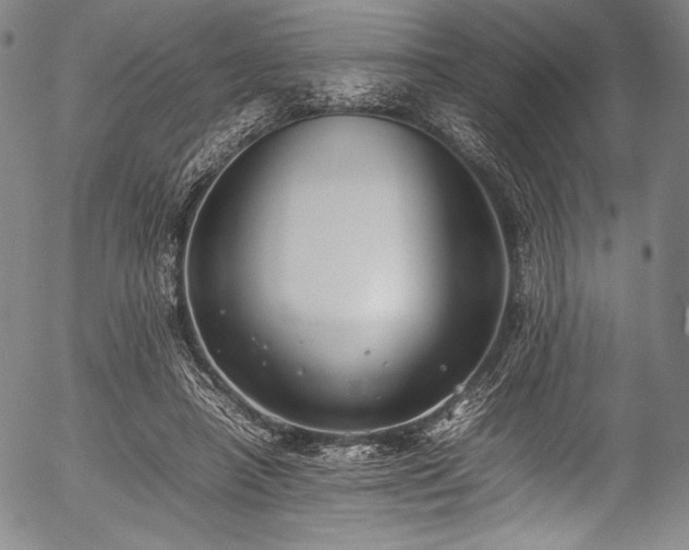 X0000054430450200508011402