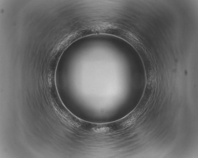 X0000054430452200508011402