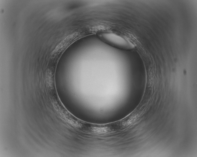 X0000054430457200508011402