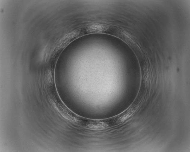 X0000054430459200508011402
