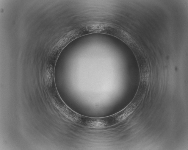 X0000054430460200508011402