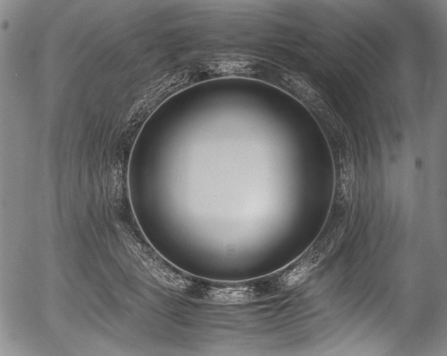 X0000054430461200508011402