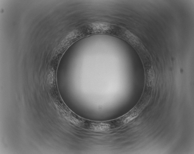 X0000054430463200508011402