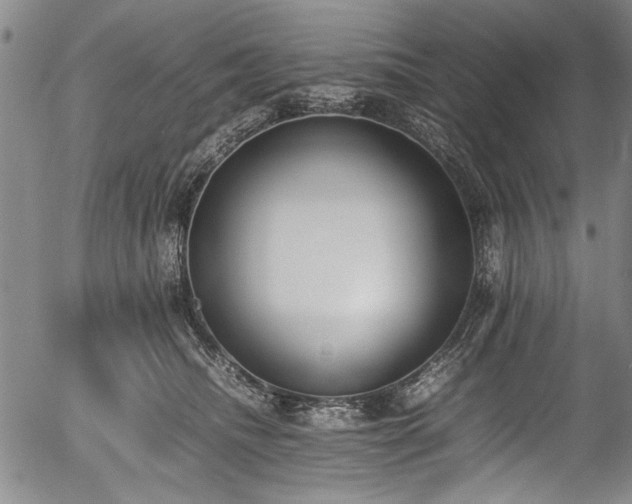 X0000054430468200508011402