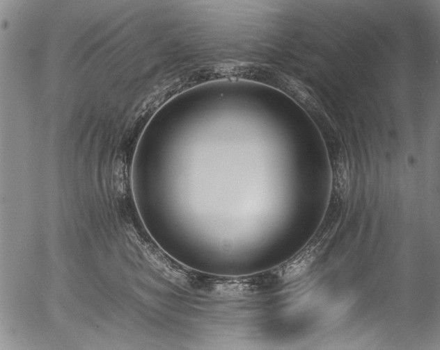 X0000054430470200508011402