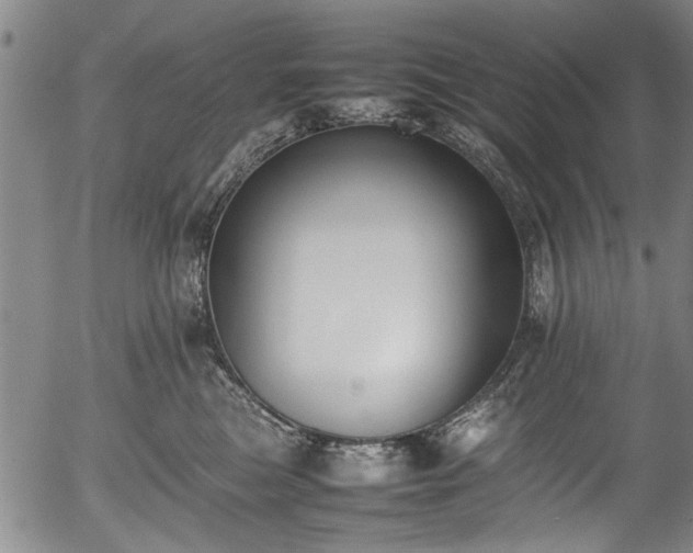 X0000054430473200508011402