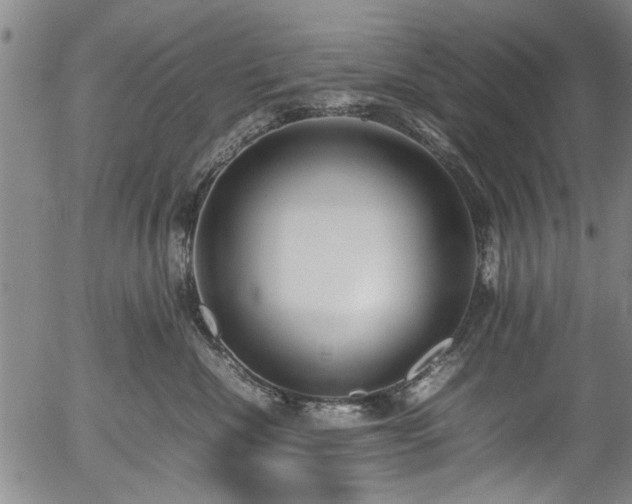 X0000054430476200508011402
