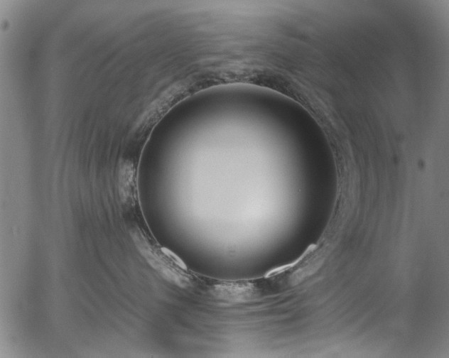 X0000054430480200508011402