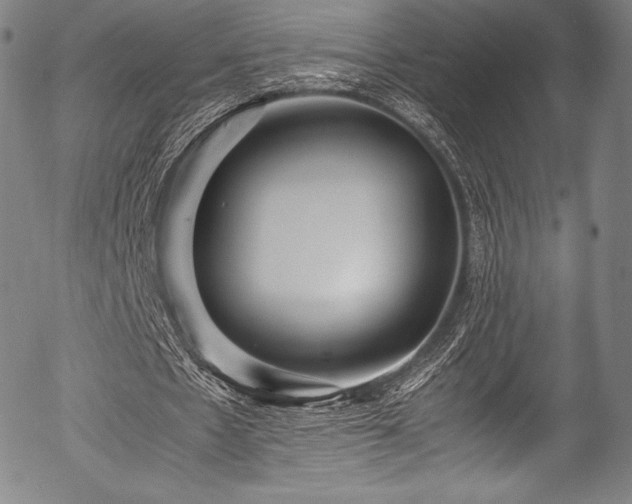 X0000054430481200508011401