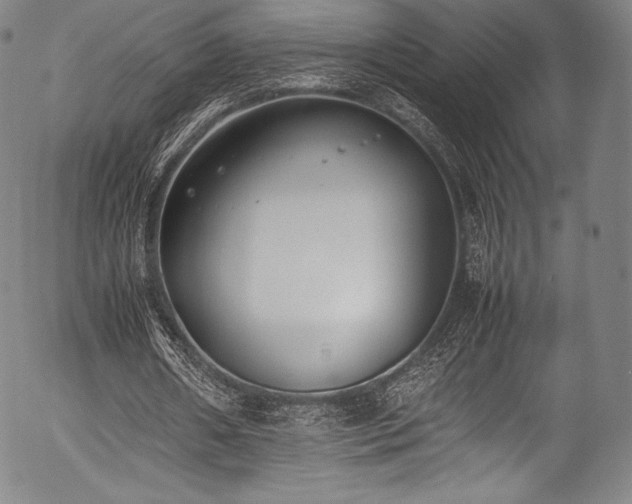 X0000054430482200508011401