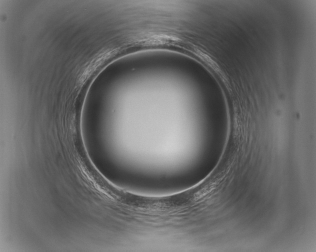 X0000054430485200508011401