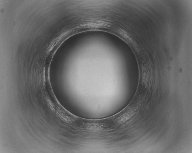 X0000054430486200508011401