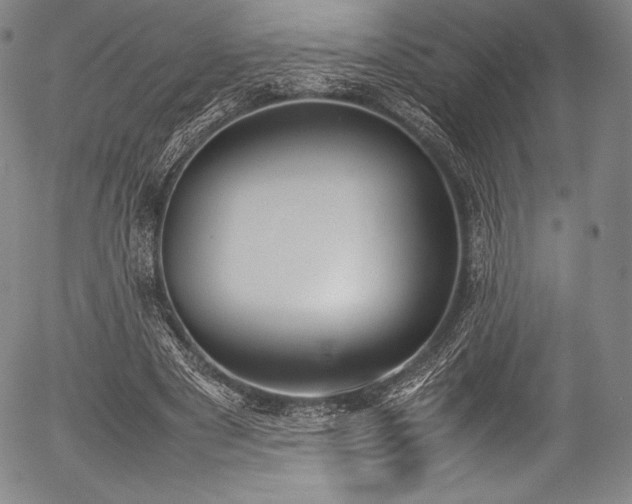 X0000054430489200508011401