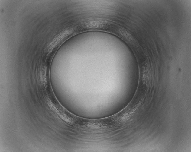 X0000054430490200508011401