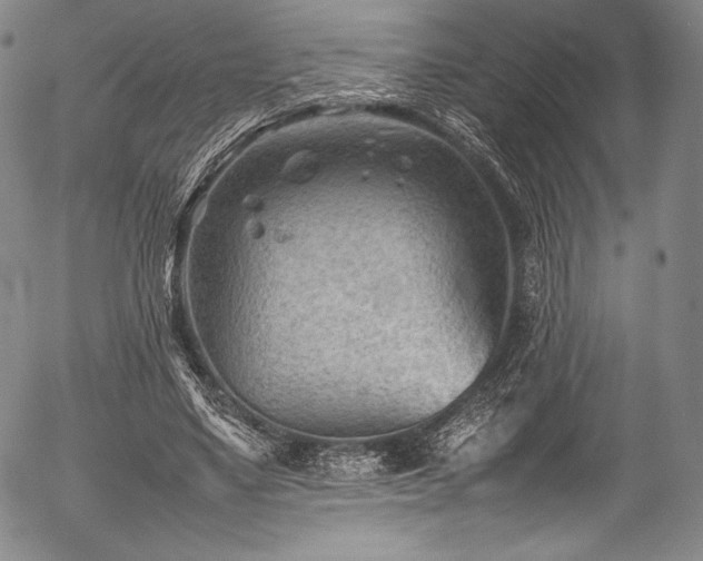 X0000054430491200508011401
