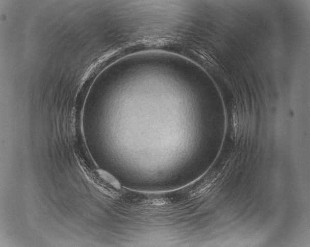 X0000054430492200508011401
