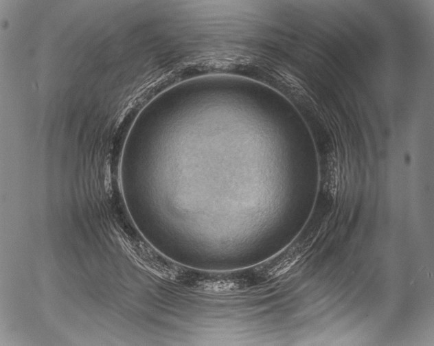 X0000054430500200508011401