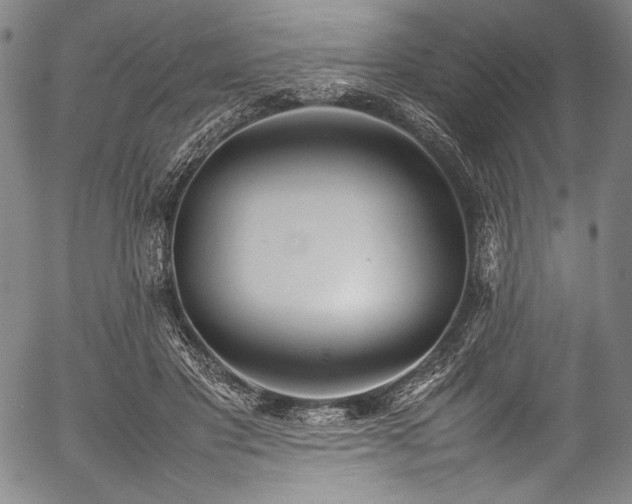 X0000054430501200508011401