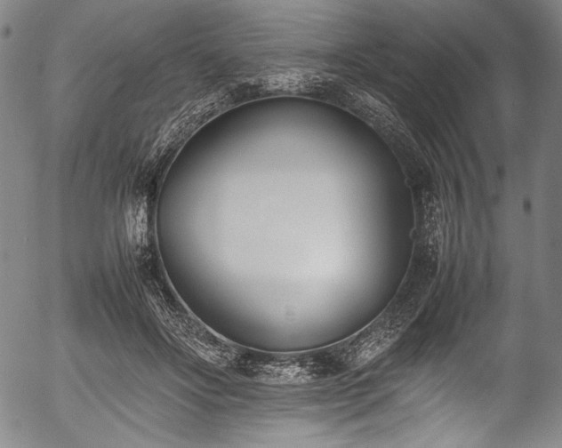 X0000054430502200508011401