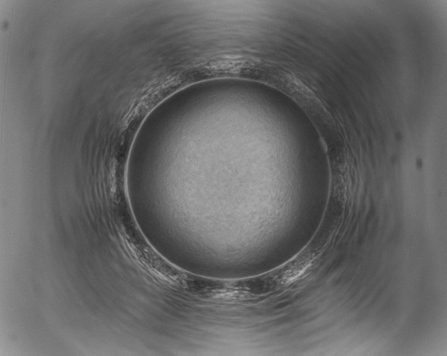 X0000054430504200508011401