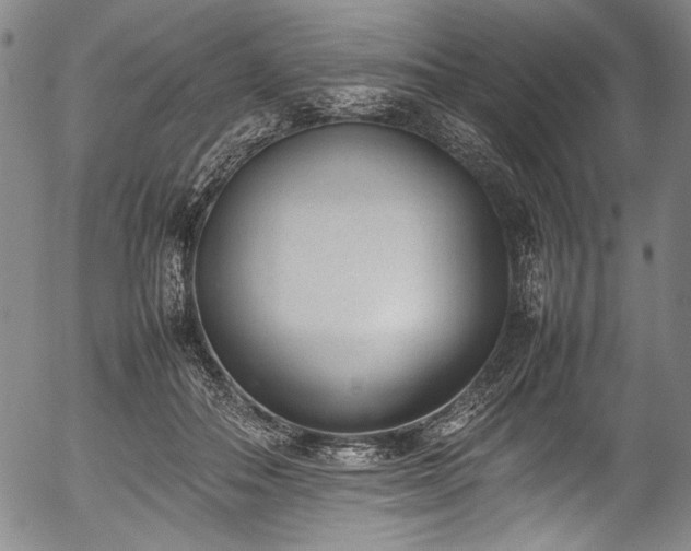 X0000054430506200508011401