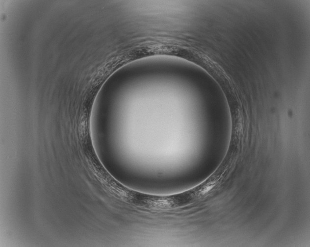 X0000054430513200508011401