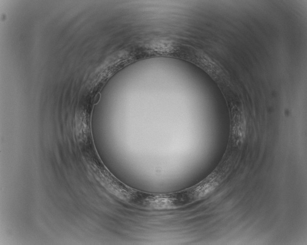 X0000054430518200508011401
