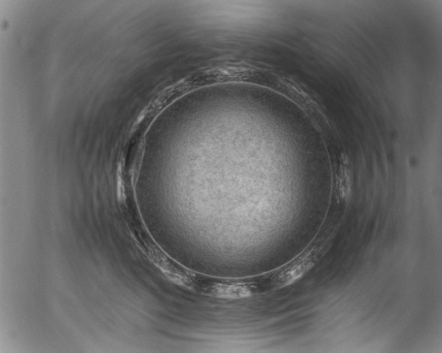 X0000054430520200508011401