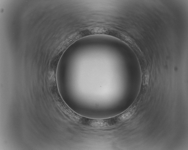 X0000054430521200508011401
