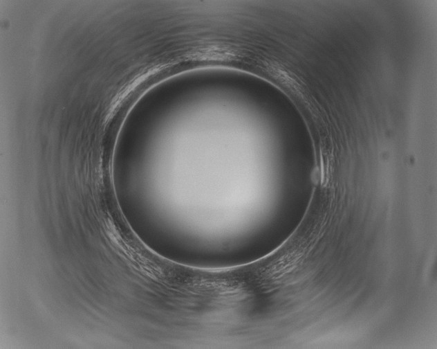 X0000054430531200508011400