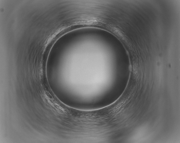 X0000054430532200508011400