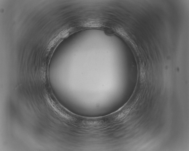 X0000054430533200508011400