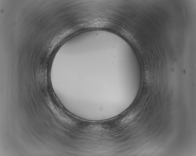 X0000054430534200508011400
