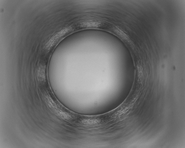 X0000054430537200508011400