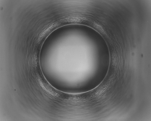 X0000054430538200508011400