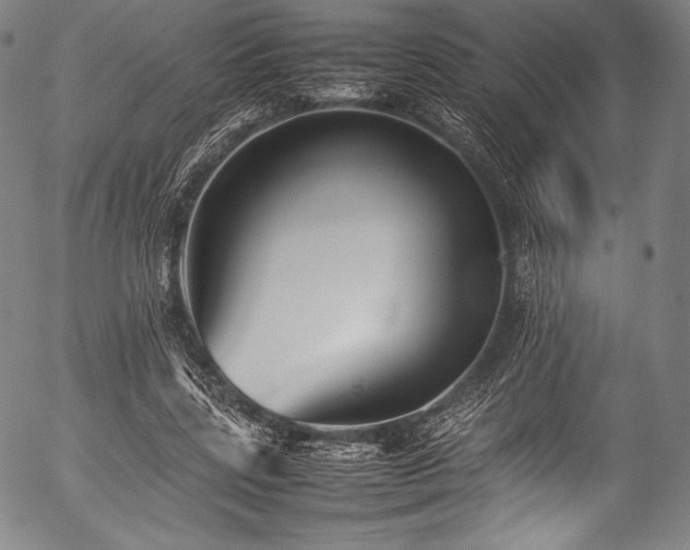 X0000054430539200508011400
